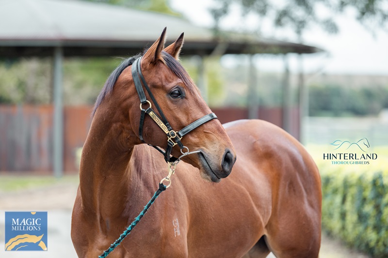 31.8.22 sale - souiss scandal JDP_0366.jpg - Image 2