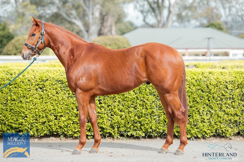 29.8.22 bulgaria ARRIVAL JDP_0114.jpg - Image 2