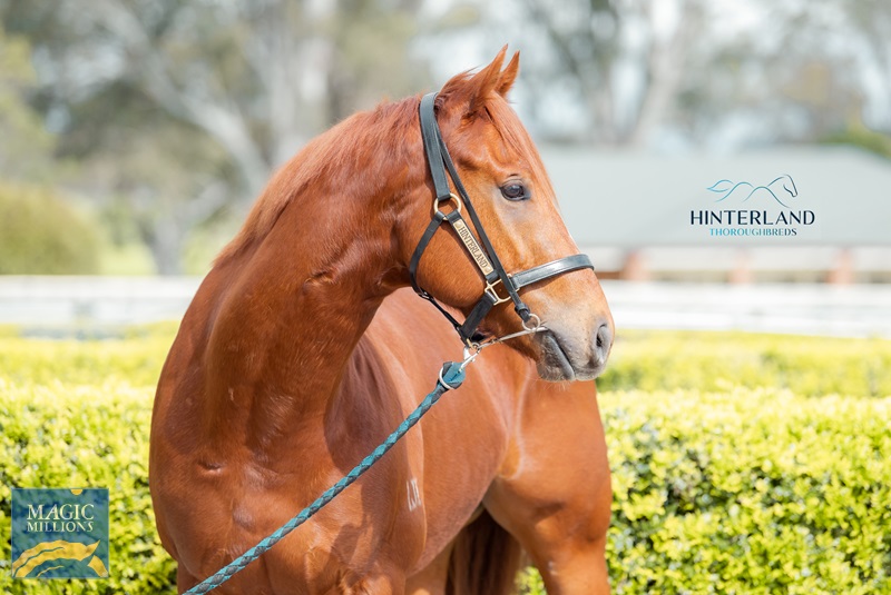 29.8.22 bulgaria ARRIVAL JDP_0121.jpg - Image 3