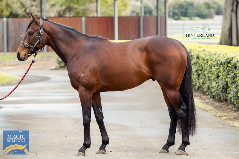 31.8.22 sale - buoyant JDP_0009.jpg - Image 1