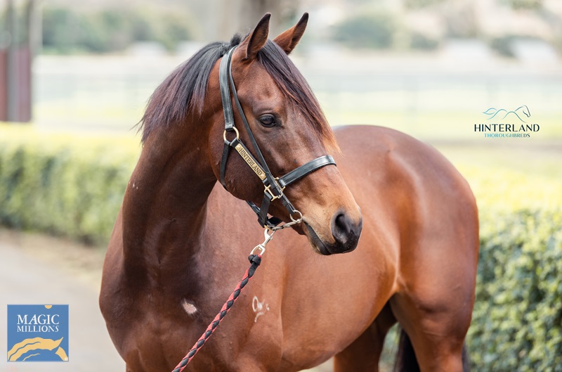 31.8.22 sale - buoyant JDP_0015.jpg - Image 2