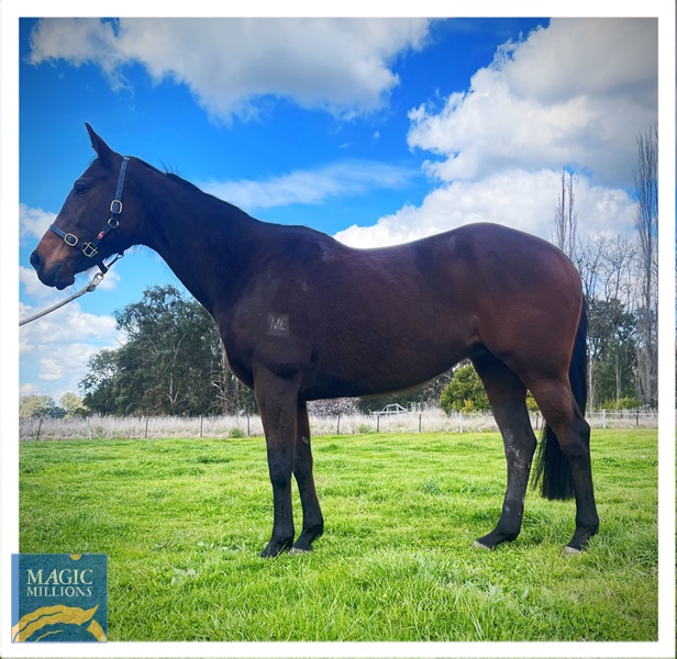 WhatsApp Image 2022-09-02 at 11.27.32 AM.jpg - Image 1