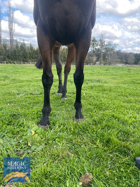 WhatsApp Image 2022-09-02 at 11.27.43 AM.jpg - Image 2