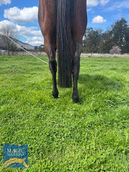 WhatsApp Image 2022-09-02 at 11.27.45 AM (1).jpg - Image 3