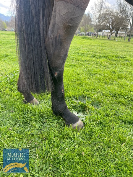 WhatsApp Image 2022-09-02 at 11.27.45 AM.jpg - Image 4