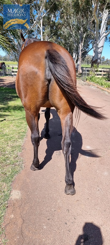 20220901_115141.jpg - Image 4