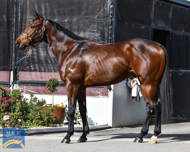 Charlie Foxtrot body.jpg - Image 1