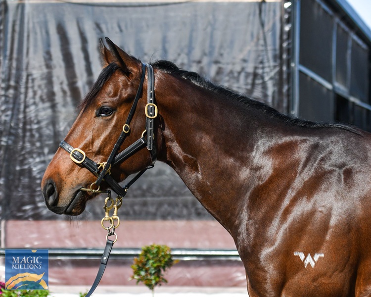 Charlie Foxtrot head.jpg - Image 2