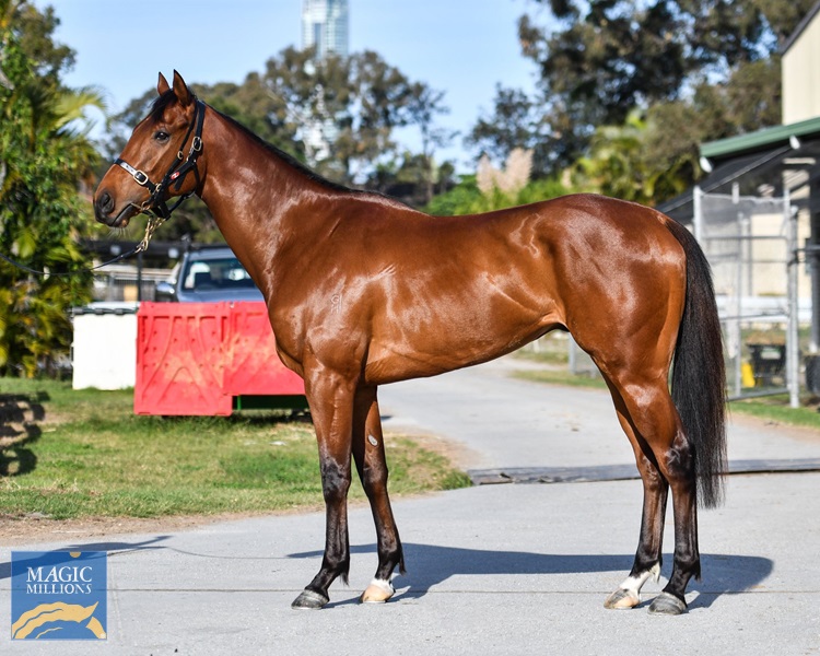 Denim Jacket.jpg - Image 1
