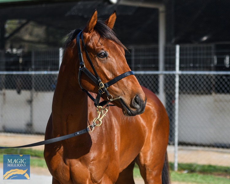Denim Jacket head.jpg - Image 2