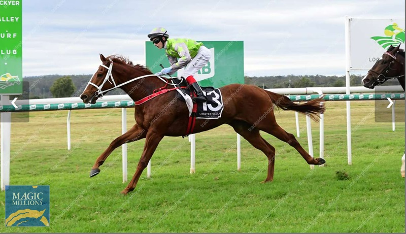 Lexington Lad.jpg - Image 4