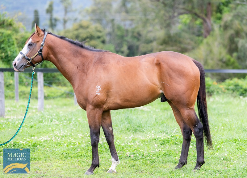 27.9.22 SALE - man in the mirror JDP_4387.jpg - Image 1