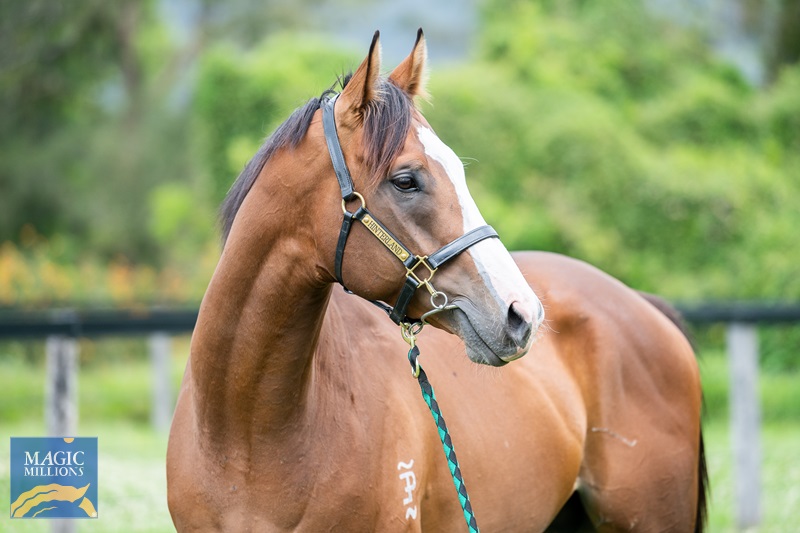 27.9.22 SALE - man in the mirror JDP_4392.jpg - Image 2