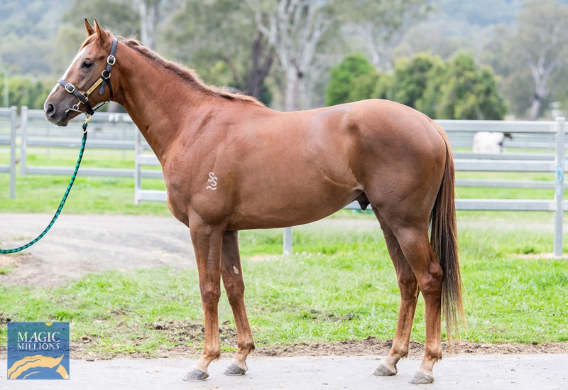 27.9.22 voldemort ARRIVE JDP_4429.jpg - Image 1