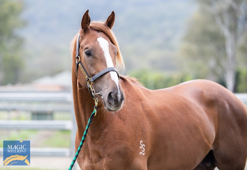 27.9.22 voldemort ARRIVE JDP_4433.jpg - Image 2