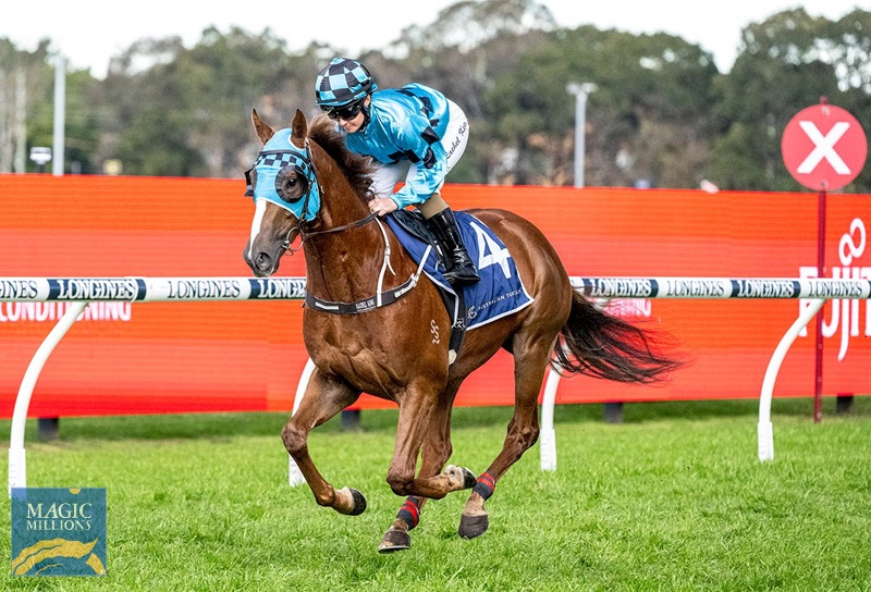 voldie 1.jpg - Image 3