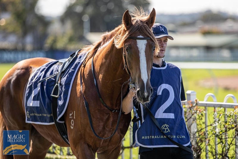 voldie 2.jpg - Image 4