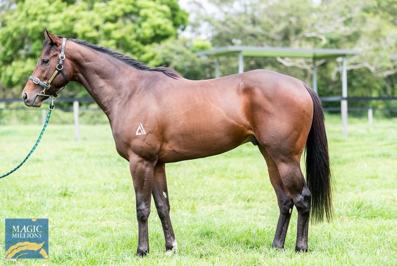 27.9.22 SALE - physco JDP_4379.jpg - Image 1