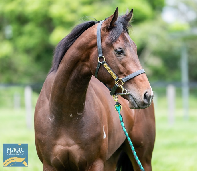 27.9.22 SALE - physco JDP_4381.jpg - Image 2