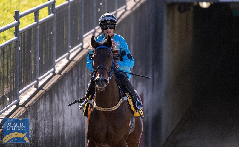 psycho.jpg - Image 4