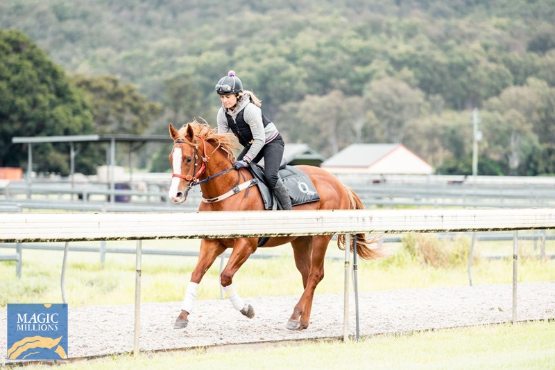 narnia 2.jpg - Image 1