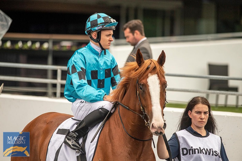 narnia.jpg - Image 2