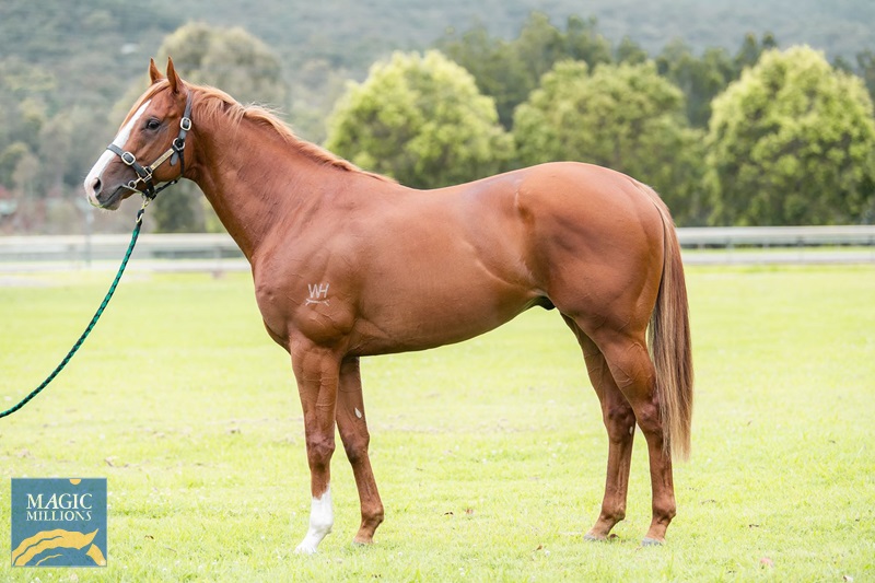 sale - narnia JDP_5647 (002).jpg - Image 3