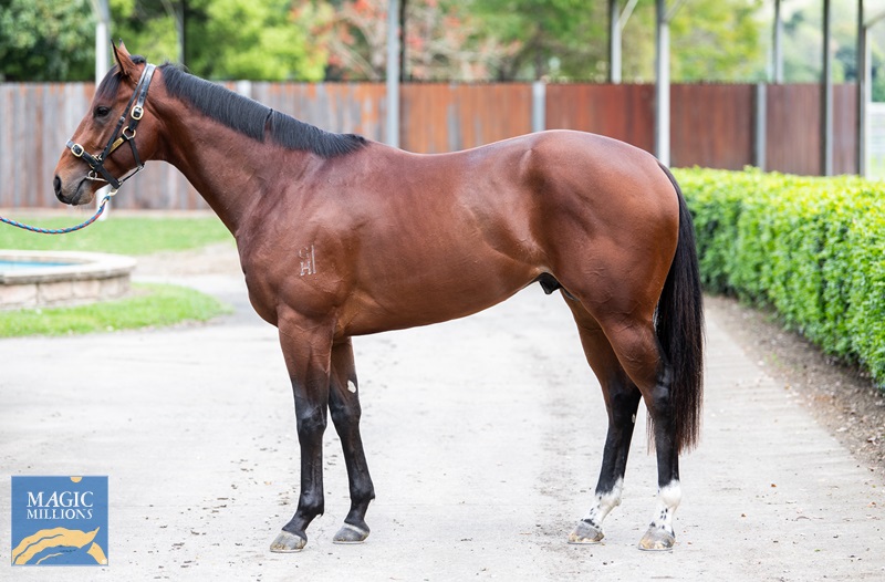 27.9.22 SALE - thorsby JDP_4355.jpg - Image 1