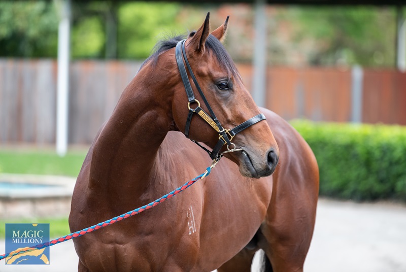 27.9.22 SALE - thorsby JDP_4359.jpg - Image 2