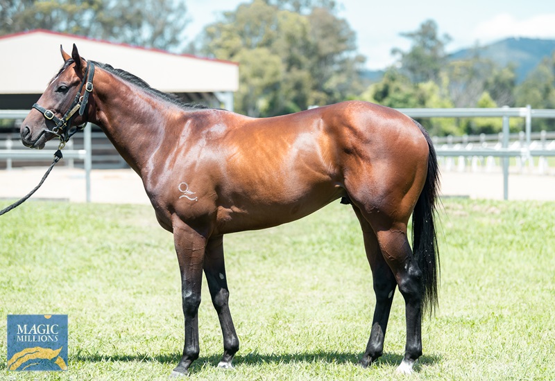 30.9.22 forms of fear JDP_4915.jpg - Image 1