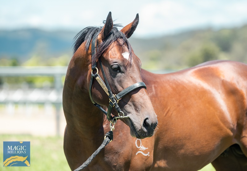 30.9.22 forms of fear JDP_4923.jpg - Image 2