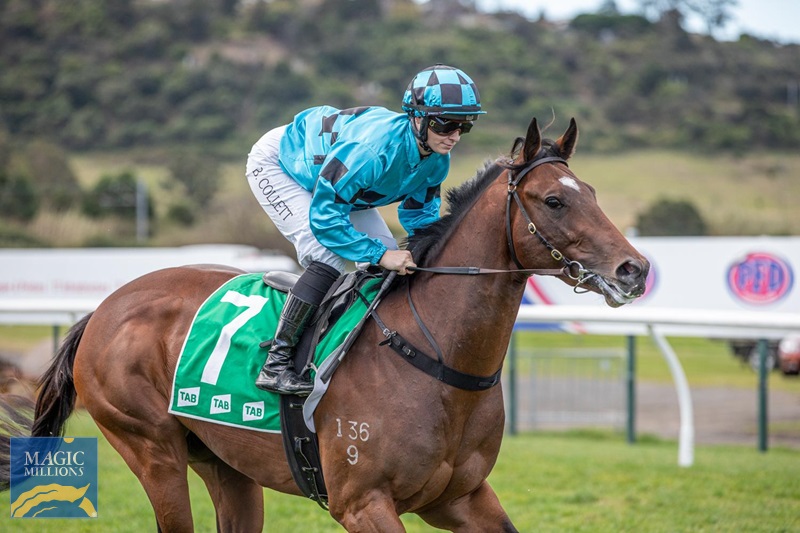 forms of fear.jpg - Image 3