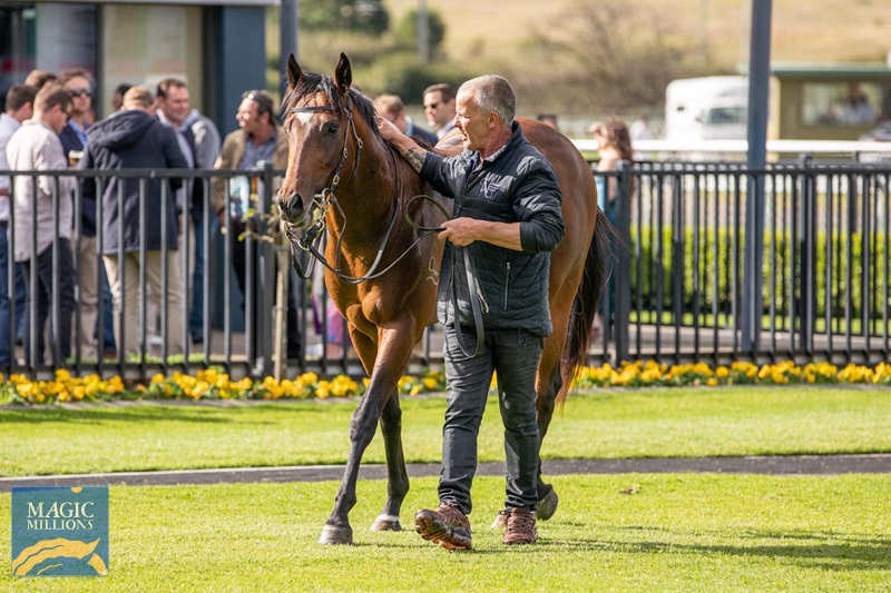 forms of fear 2.jpg - Image 4