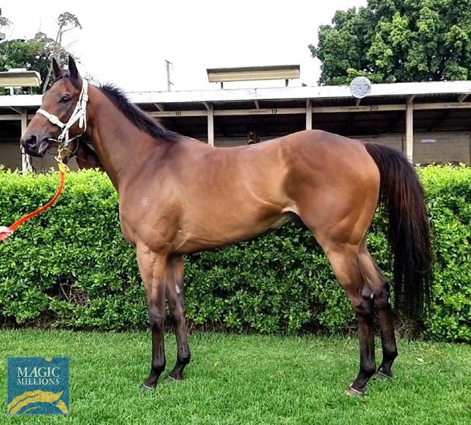 The Tyler os.jpg - Image 1