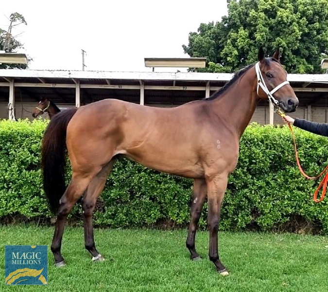 The Tyler ns.jpg - Image 2