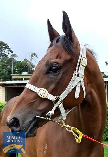 The Tyler head shot.jpg - Image 3