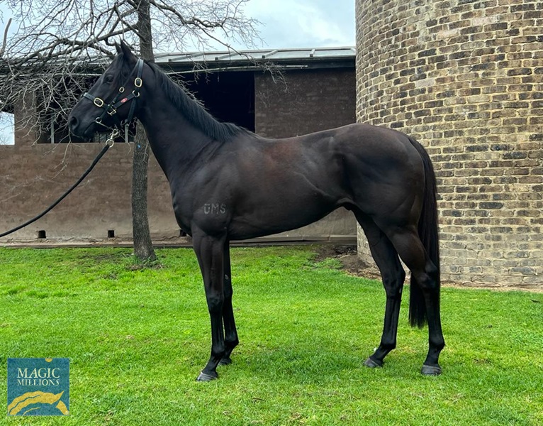 Nay To Remember 1.jpg - Image 1