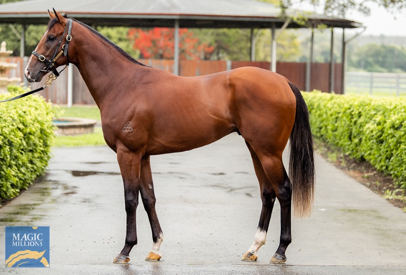 20.10.22 makalu - sale JDP_8399.jpg - Image 1