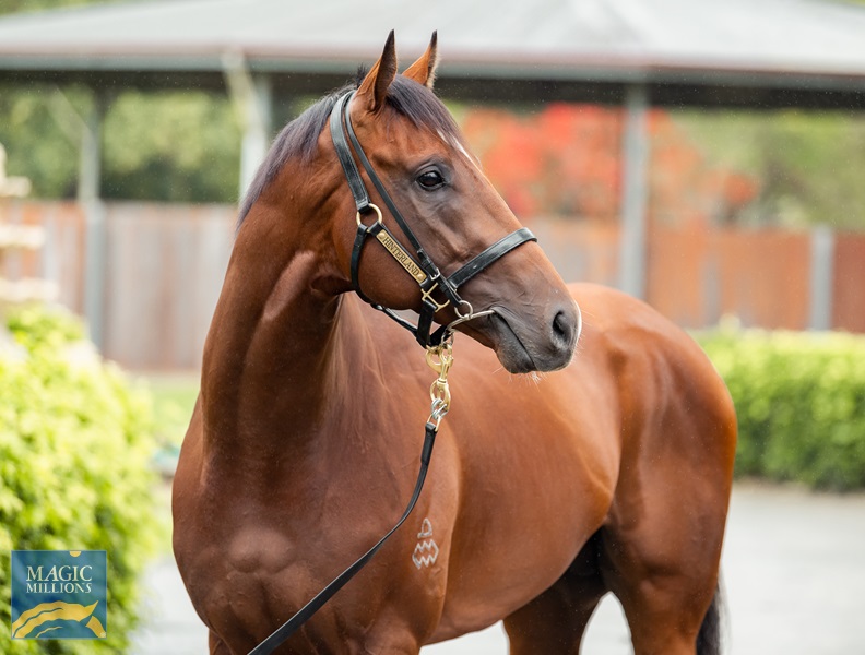 20.10.22 makalu - sale JDP_8404.jpg - Image 2