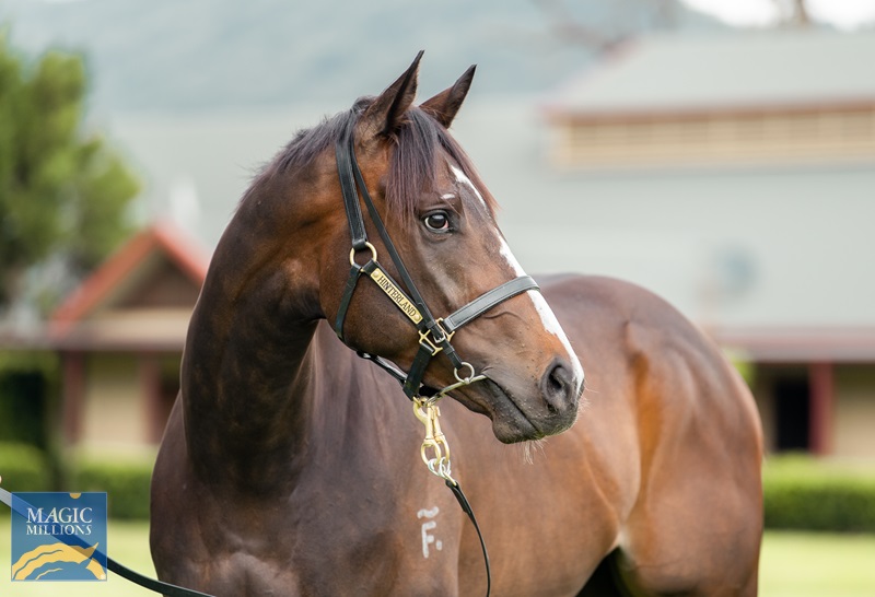 20.10.22 tequila - sale JDP_8417.jpg - Image 1