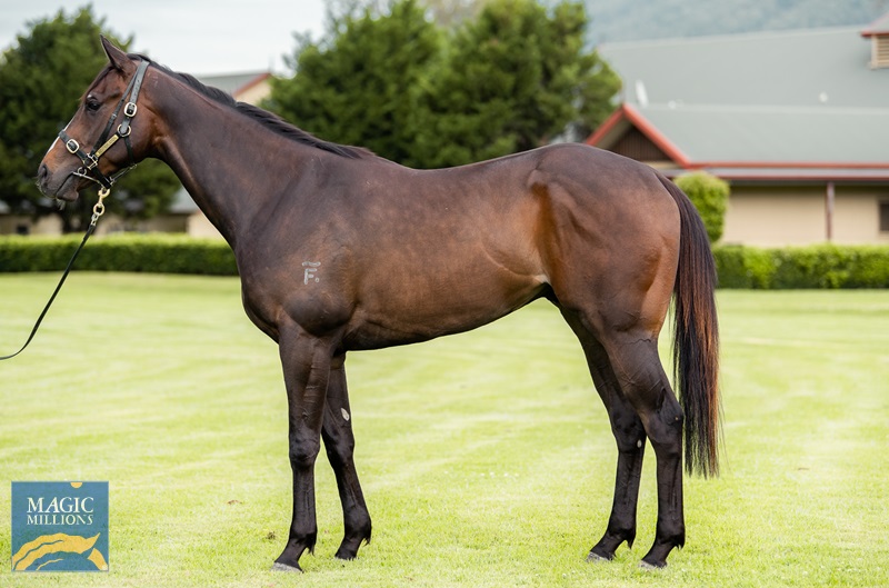 20.10.22 tequila - sale JDP_8416.jpg - Image 2