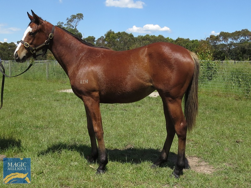 TOM 21 Side.jpg - Image 1