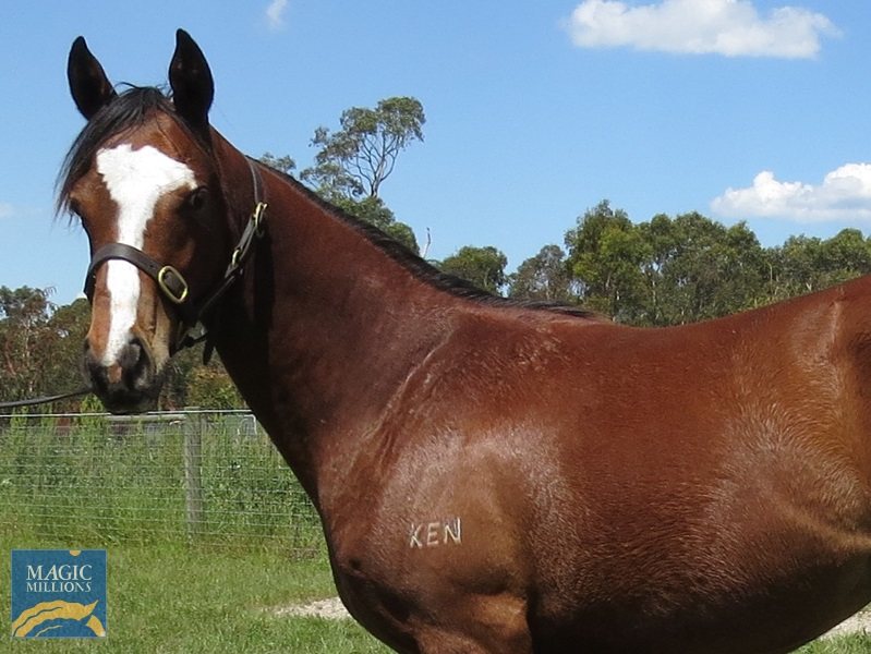 TOM 21 H+S.jpg - Image 2