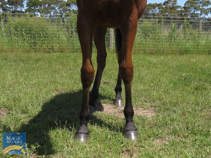 TOM 21 Front.jpg - Image 3