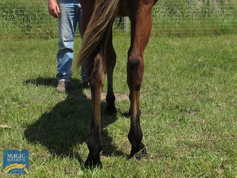 TOM 21 Back.jpg - Image 4