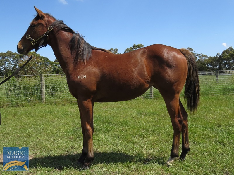 SP 21 Side.jpg - Image 1