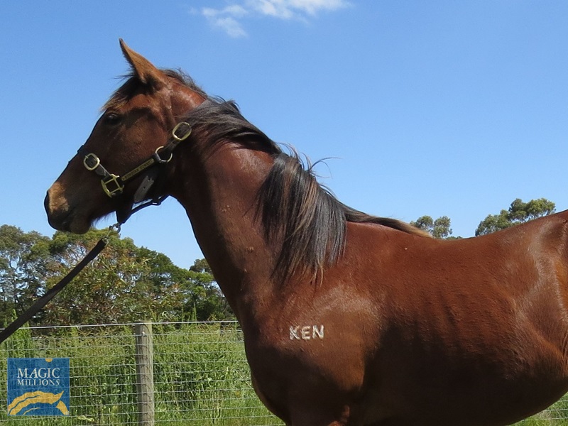 SP 21 H+S.jpg - Image 2