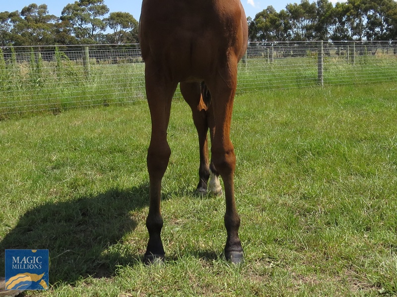 SP 21 Front.jpg - Image 3