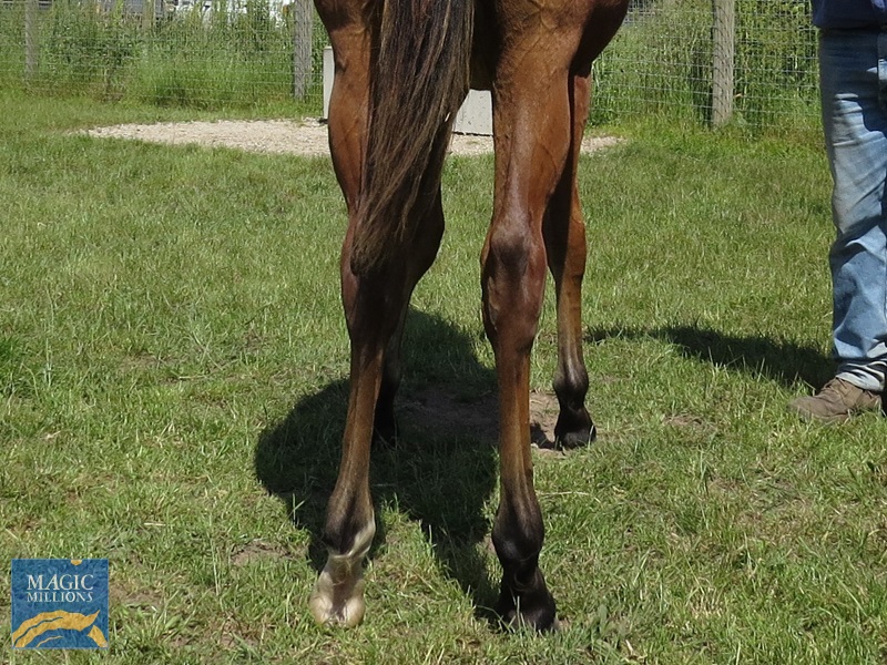 SP 21 Back.jpg - Image 4