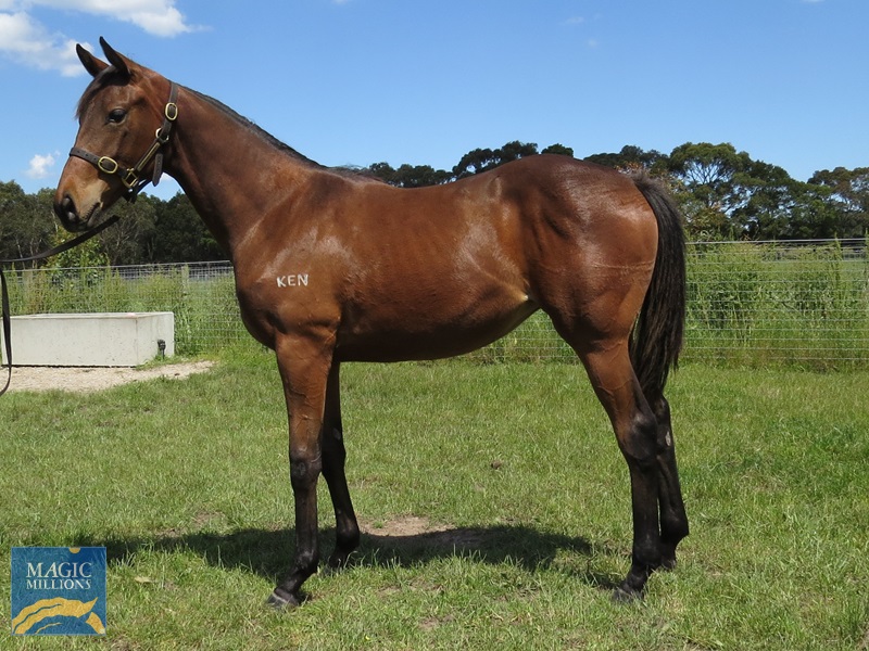 FP 21 Side.jpg - Image 1